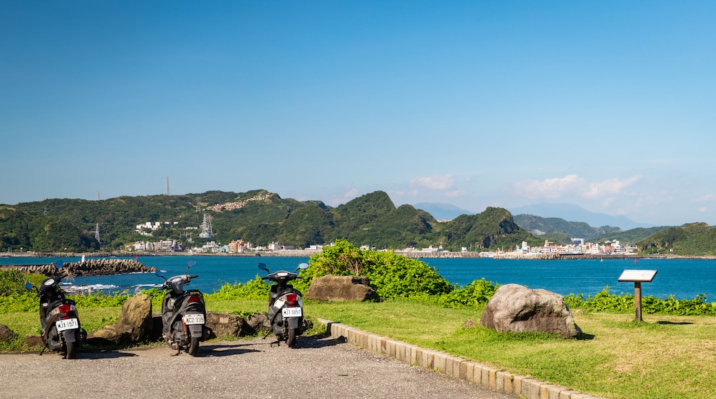 Ruifang showing general coastal views and a garden