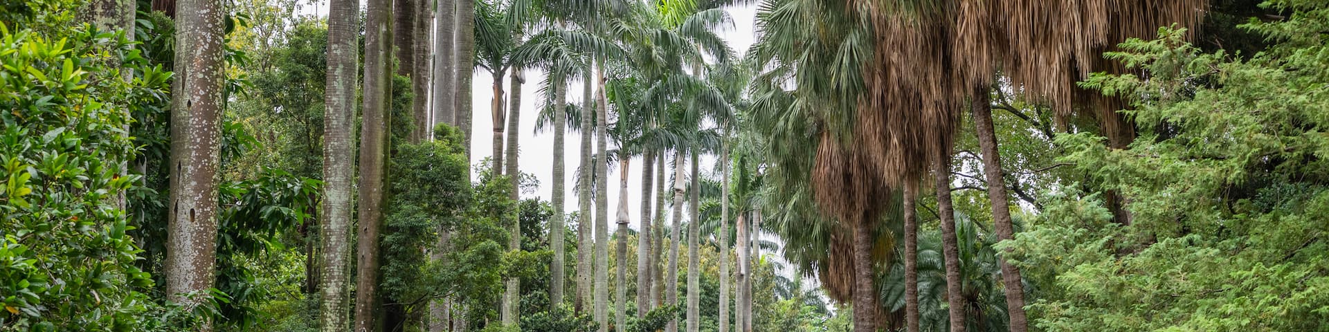 Taipei Botanical Garden