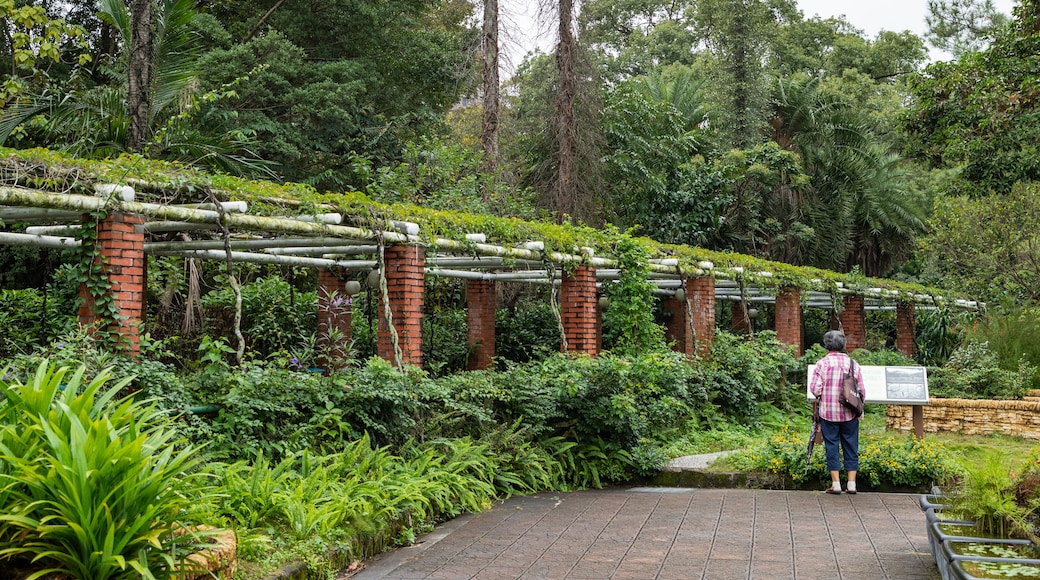 Jardim Botânico de Taipei