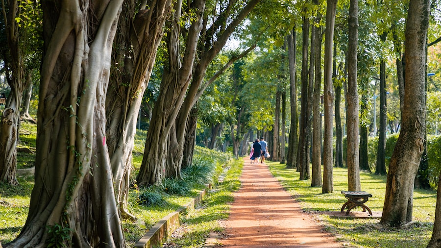 Parque Florestal de Daan