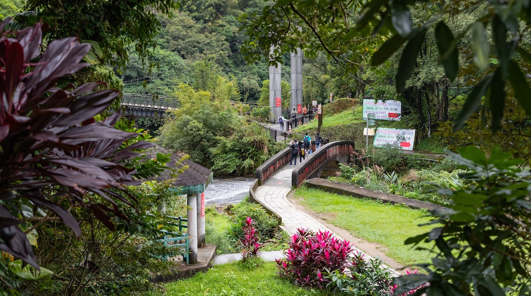 Shifen Waterfall