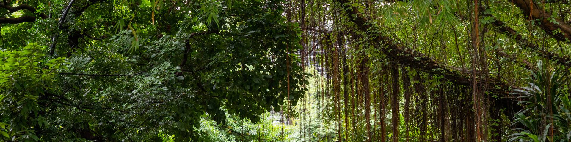Songshan Cultural and Creative Park
