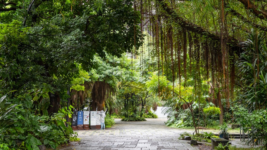 Songshan Cultural and Creative Park