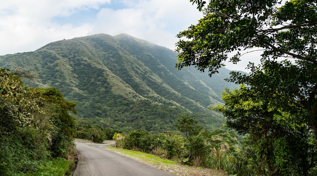 Jinguaszi Geopark