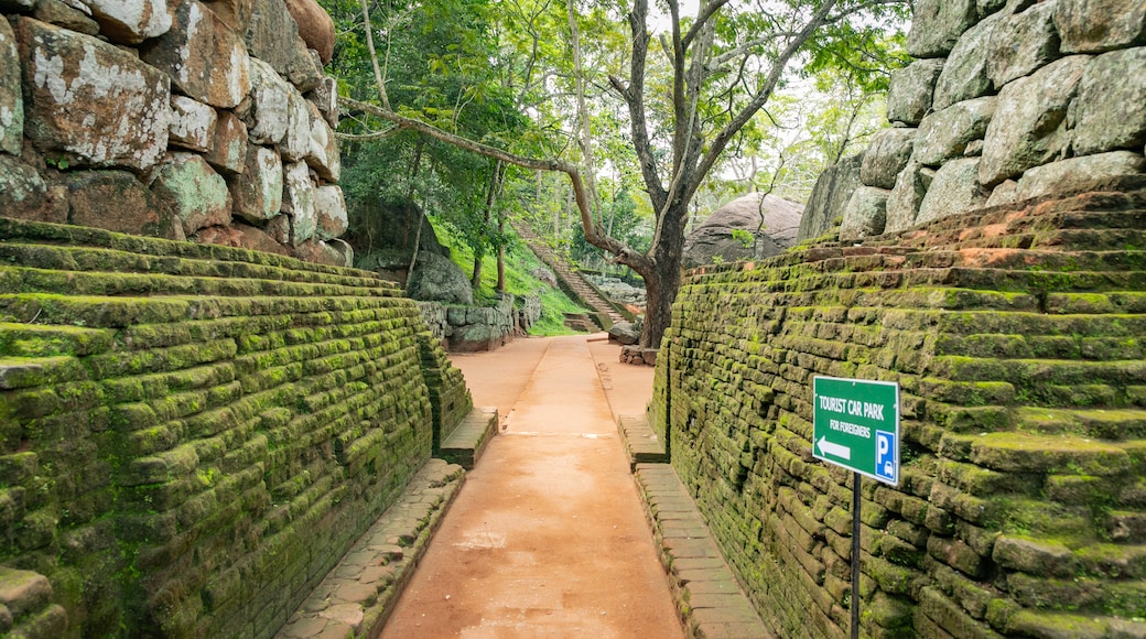 Sigiriya featuring signage and heritage elements