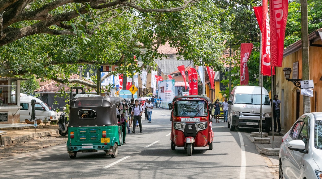 Dutch Fort featuring street scenes