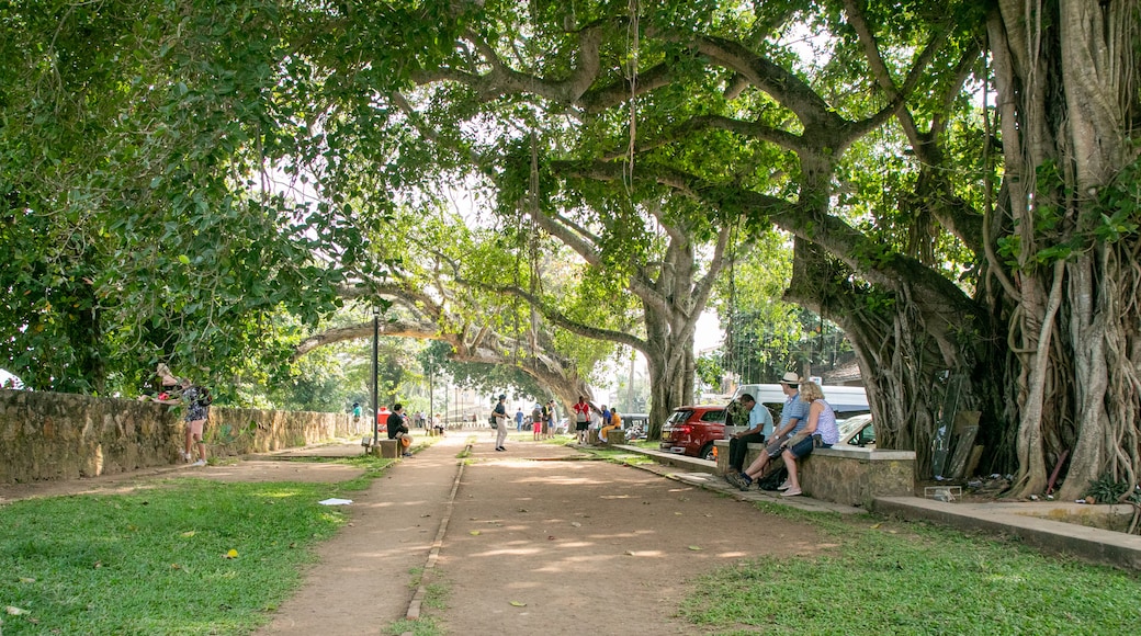 Dutch Fort showing a garden