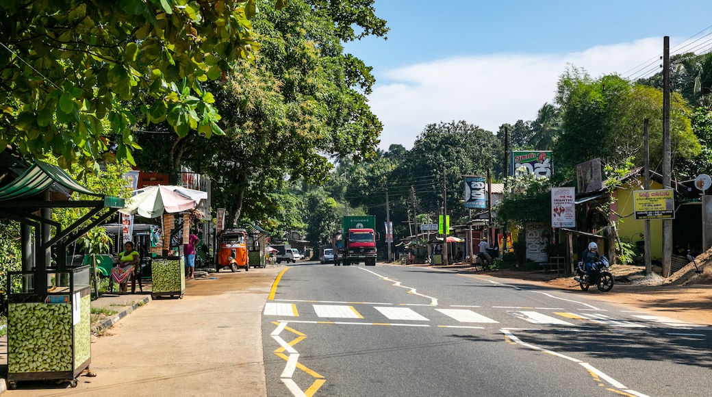 Pinnawela Elephant Orphanage featuring street scenes