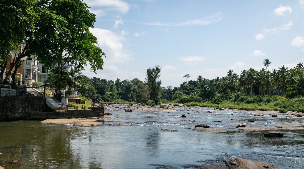 Pinnawela Elephant Orphanage showing a river or creek