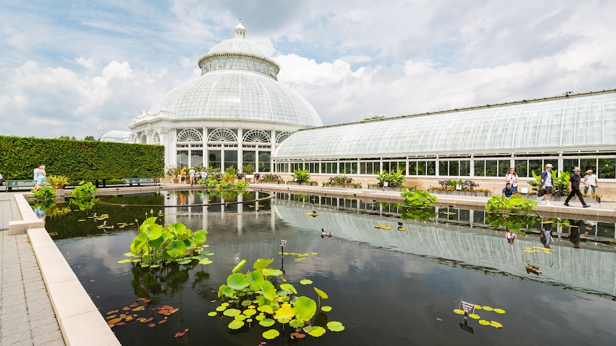 New York Botanical Gardens