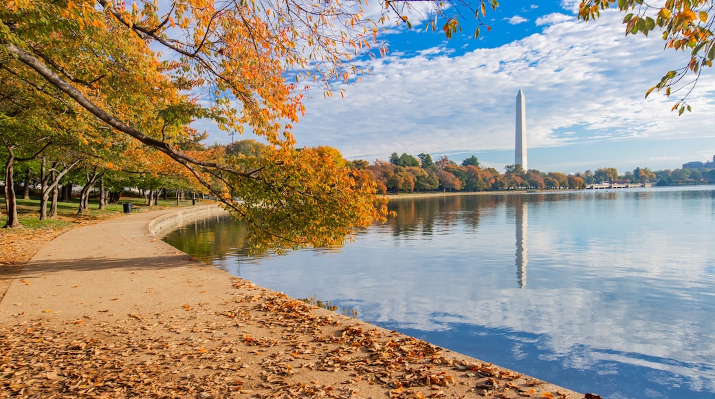 Tidal Basin