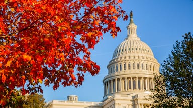 United States Capitol showing an administrative buidling, heritage architecture and autumn leaves