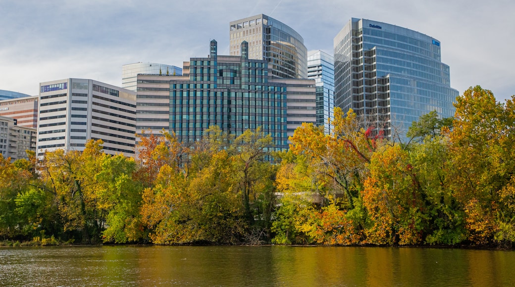 Theodore Roosevelt Island Park