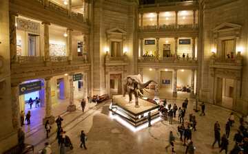 国立自然史博物館 ワシントン旅行 エクスペディア 国立自然史博物館 ワシントン旅行 エクスペディア