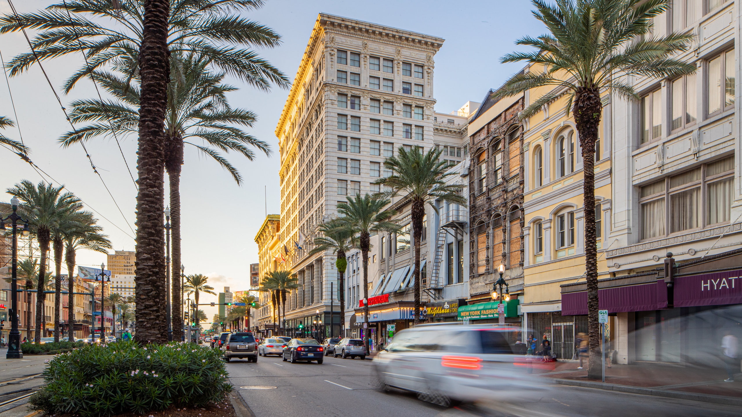 Canal Street showing street scenes and a city