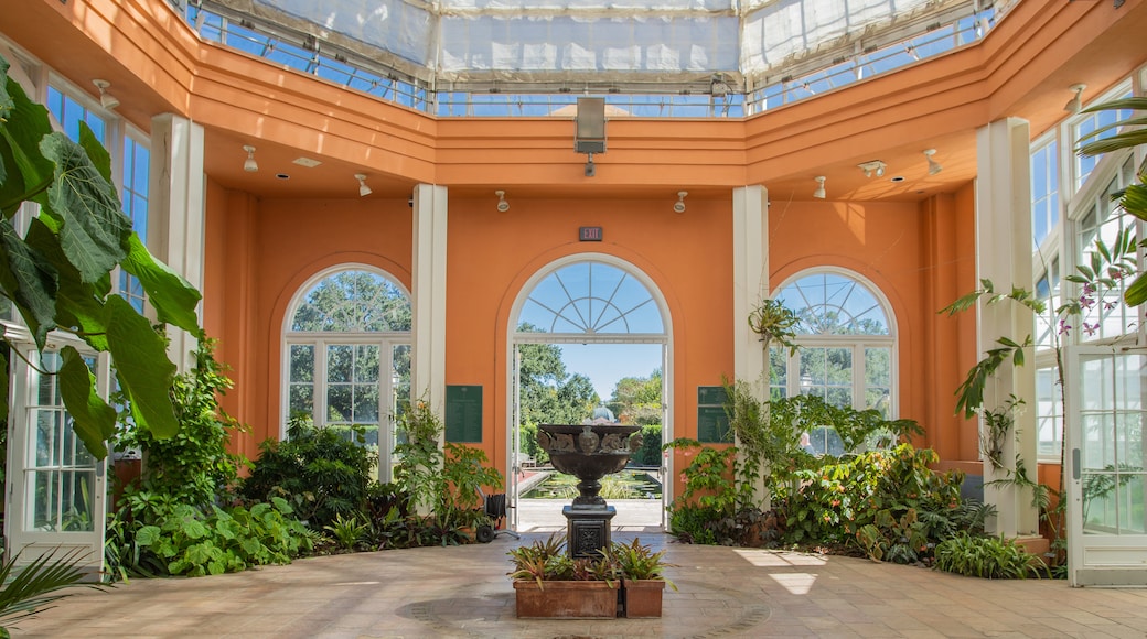 Jardín Botánico de Nueva Orleans