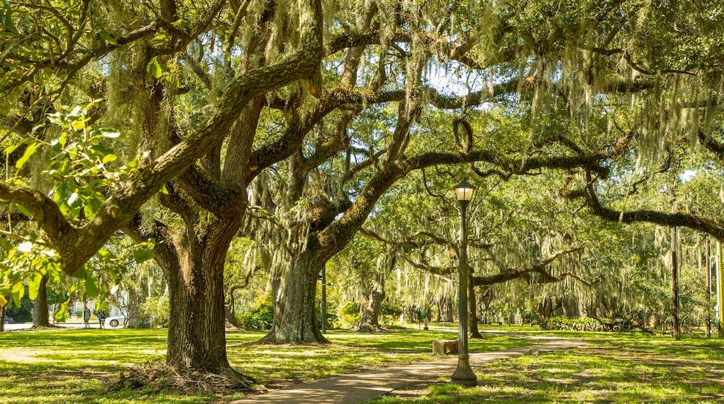 New Orleans