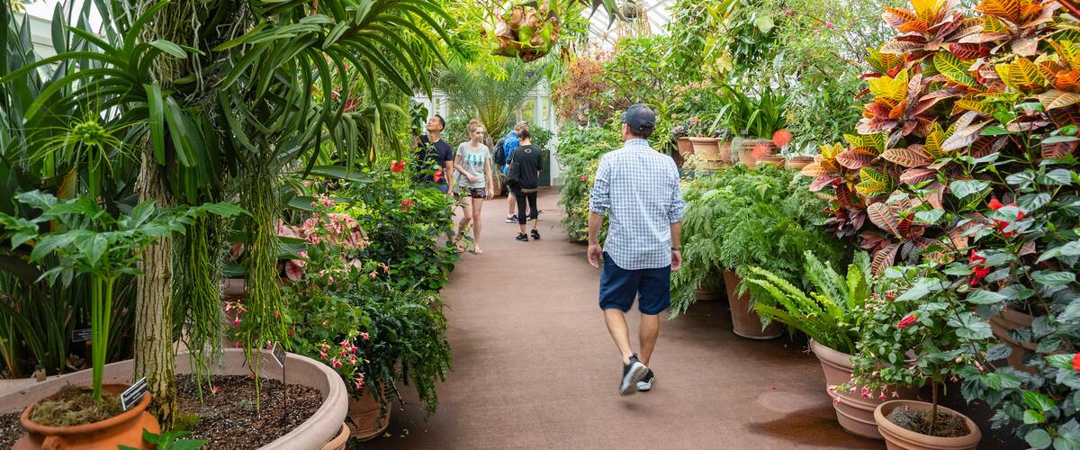New York Botanical Gardens showing wildflowers, a garden and interior views