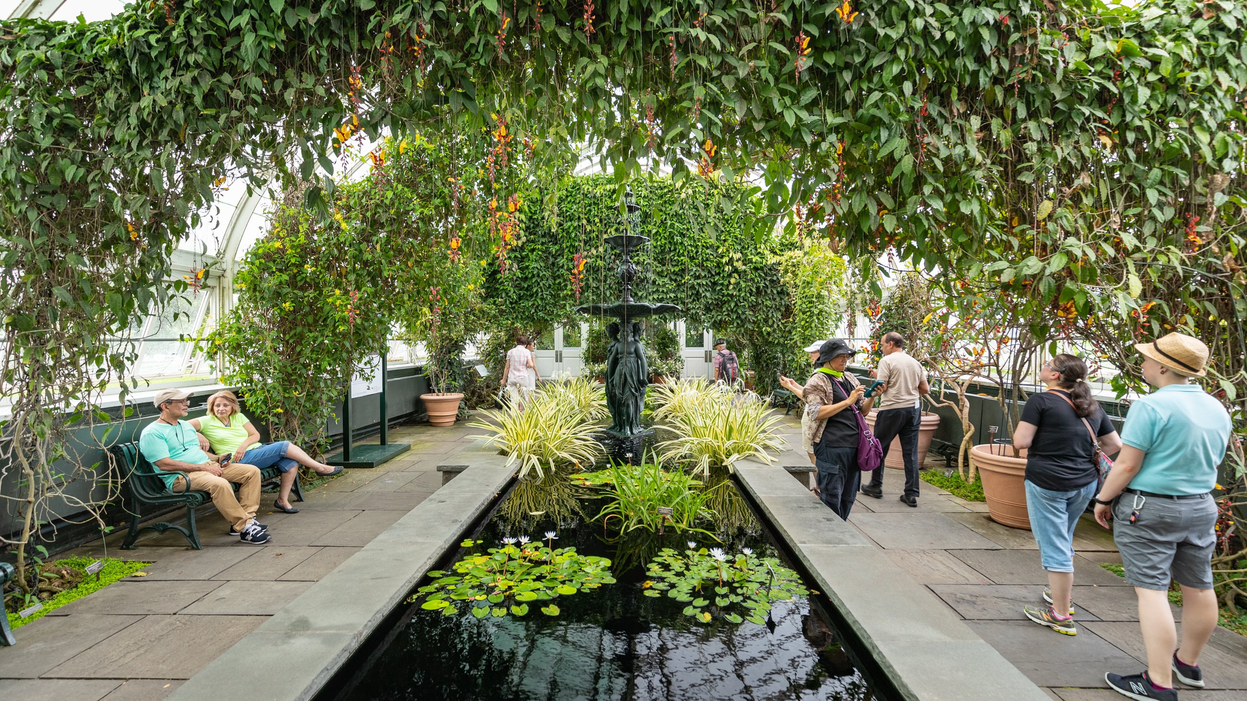 Reiseführer Bronx 2024 das Beste in Bronx entdecken Expedia.de