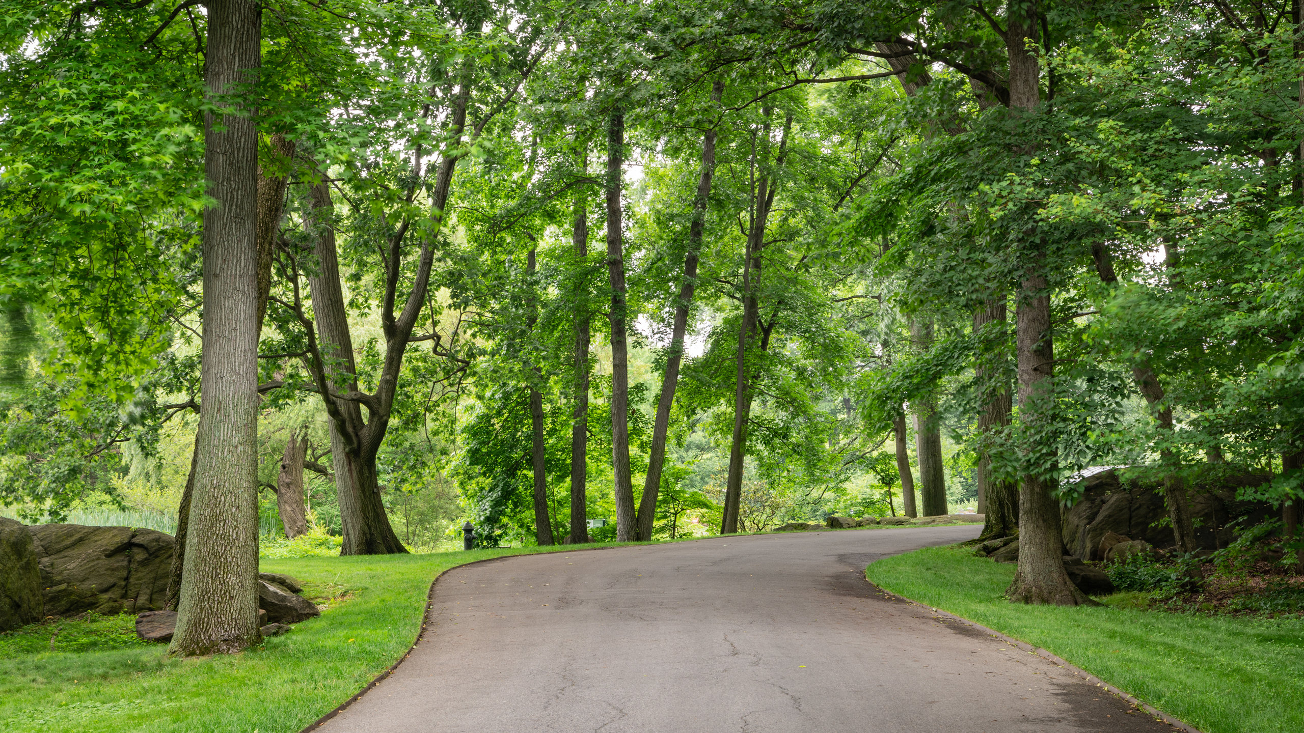 Visit Bronx: Best of Bronx Tourism | Expedia Travel Guide