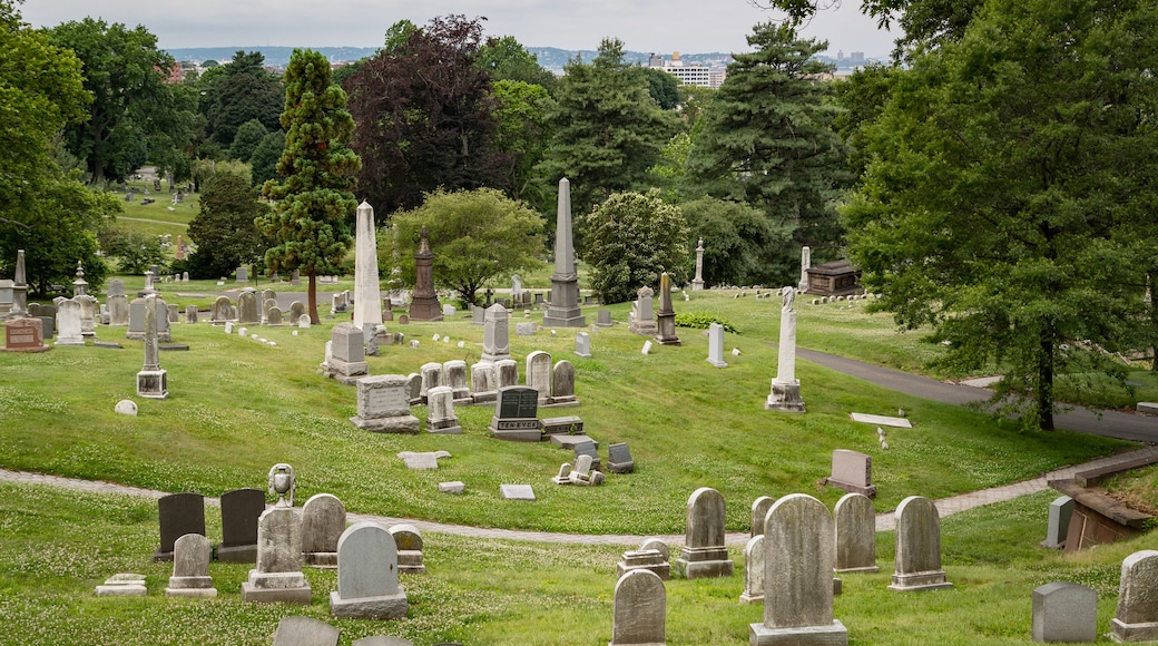 Green-Wood Cemetery showing a cemetery