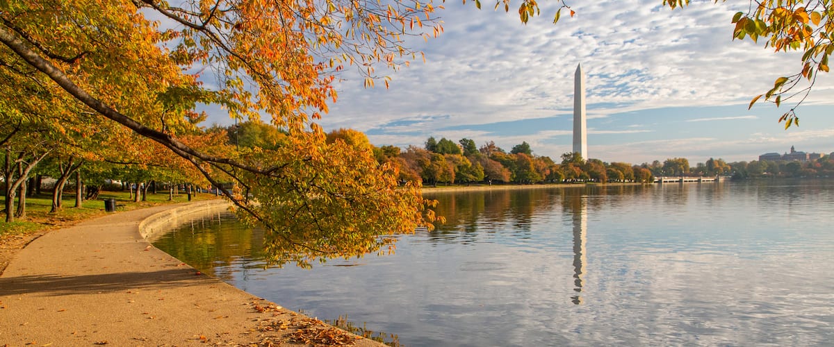 Washington Monument which includes a monument, autumn leaves and a sunset