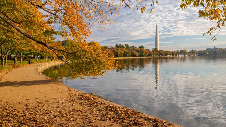 Washington Monument which includes a monument, autumn leaves and a sunset