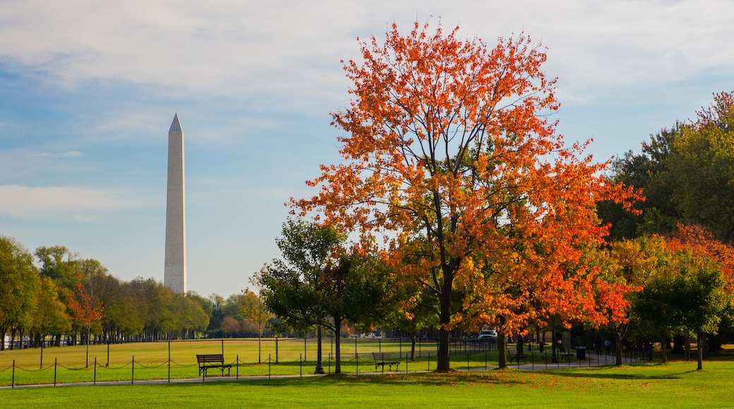 Washington Monument which includes a monument, a park and fall colors