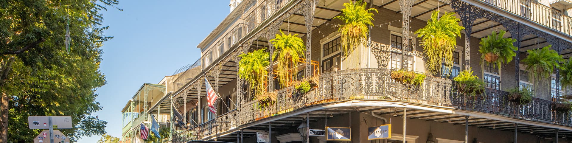 Royal Street featuring land animals, horseriding and heritage elements