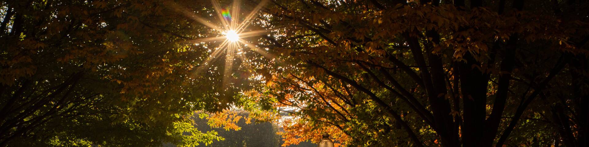 Korean War Veterans Memorial featuring a sunset and a garden as well as a couple