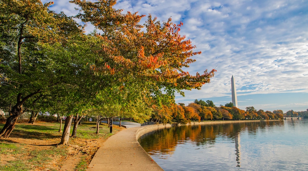 Tidal Basin