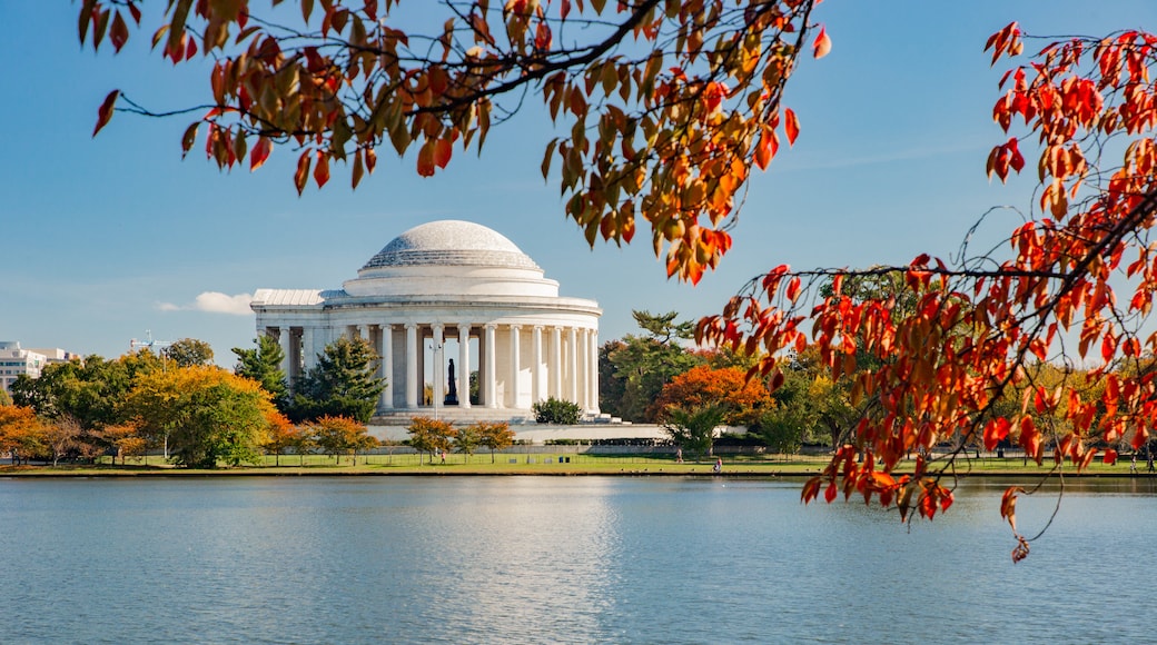 Tidal Basin