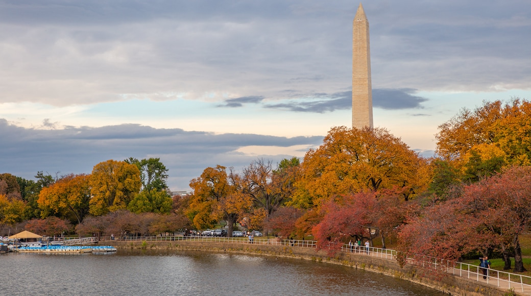 Tidal Basin