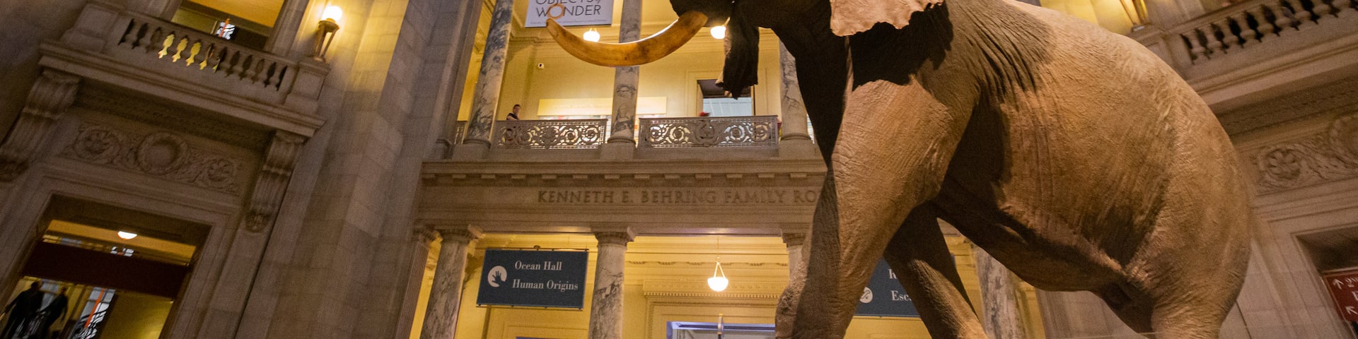 National Museum of Natural History featuring interior views