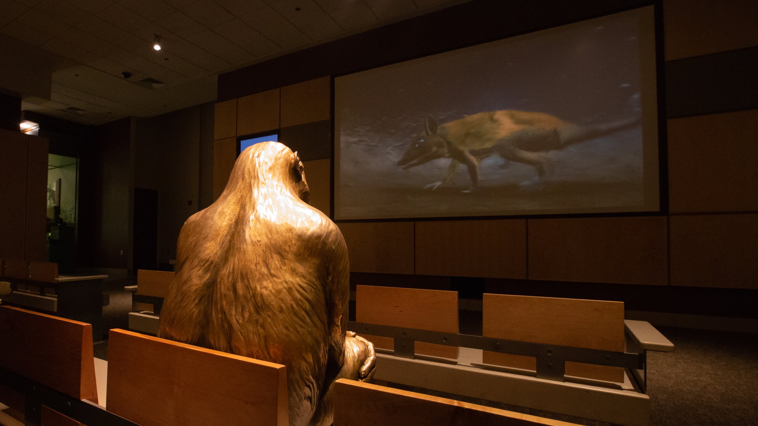 国立自然史博物館 ワシントン旅行 エクスペディア
