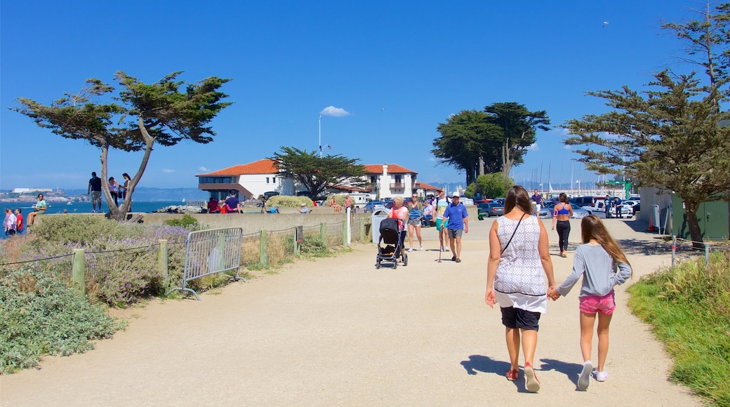 Crissy Field