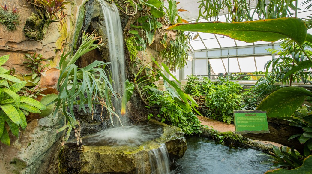 Jardín Botánico de Nueva Orleans