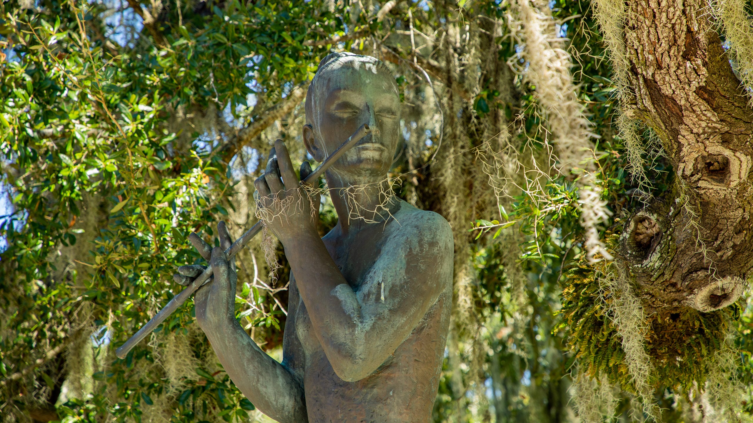 Jardin botanique de La Nouvelle-Orléans : City Park - Visites