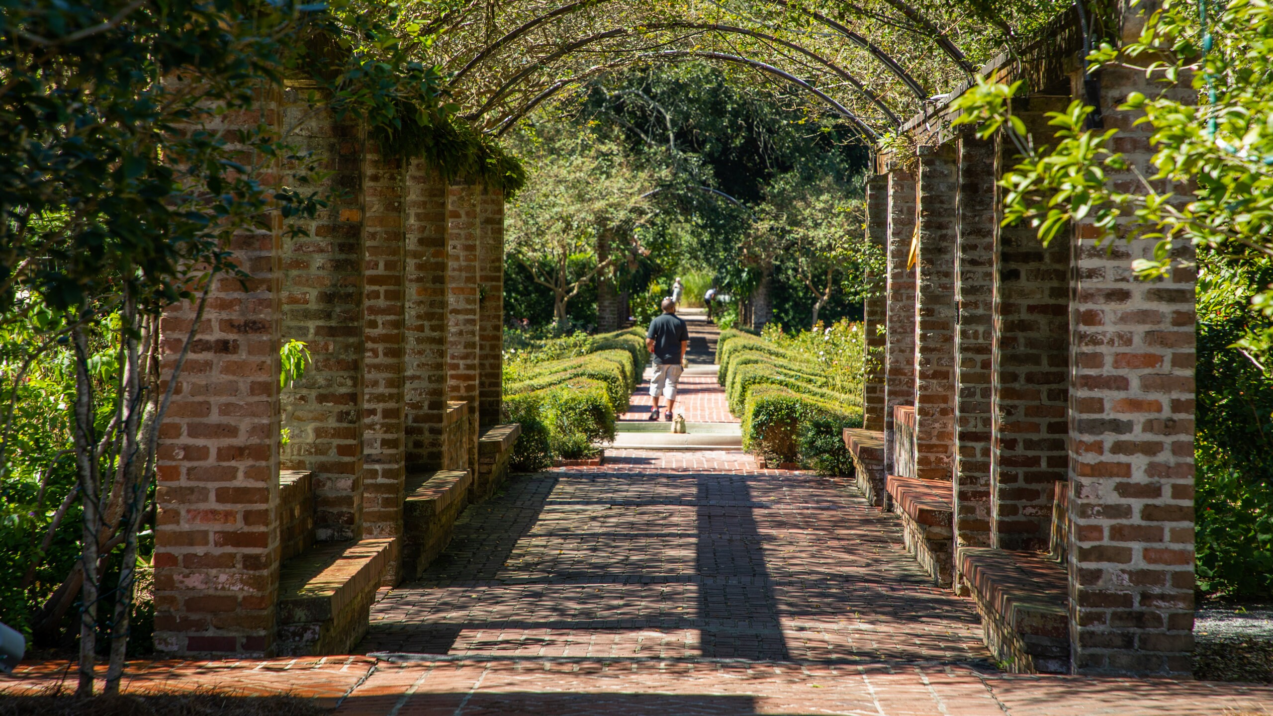 Jardin botanique de La Nouvelle-Orléans : City Park - Visites