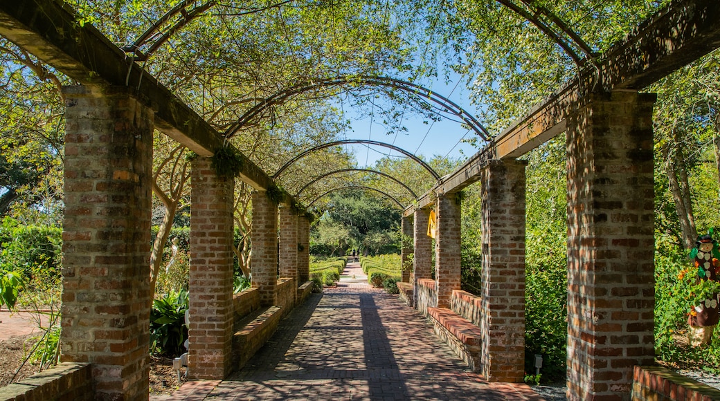 Jardín Botánico de Nueva Orleans