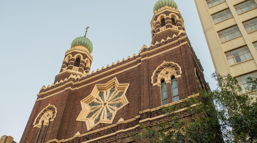 Immaculate Conception Church showing heritage architecture
