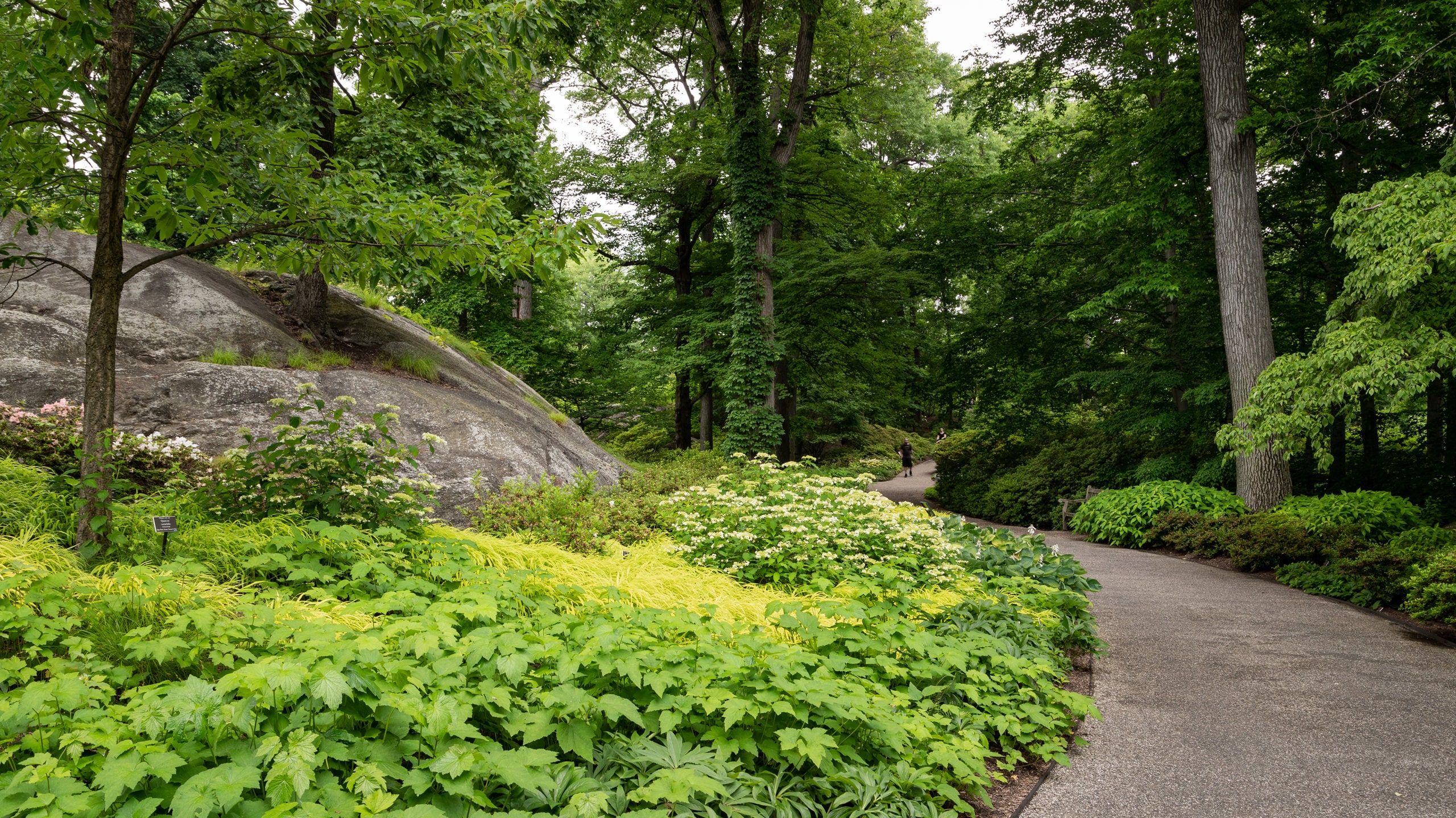 Visita Jardín Botánico de Nueva York en West Bronx Tours
