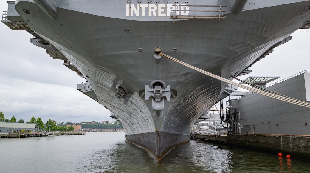 Intrepid Sea