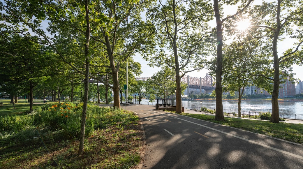 Queensbridge Park which includes a sunset and a park