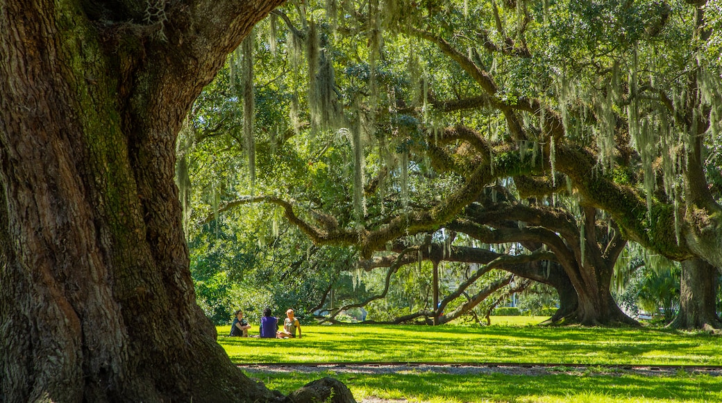 City Park