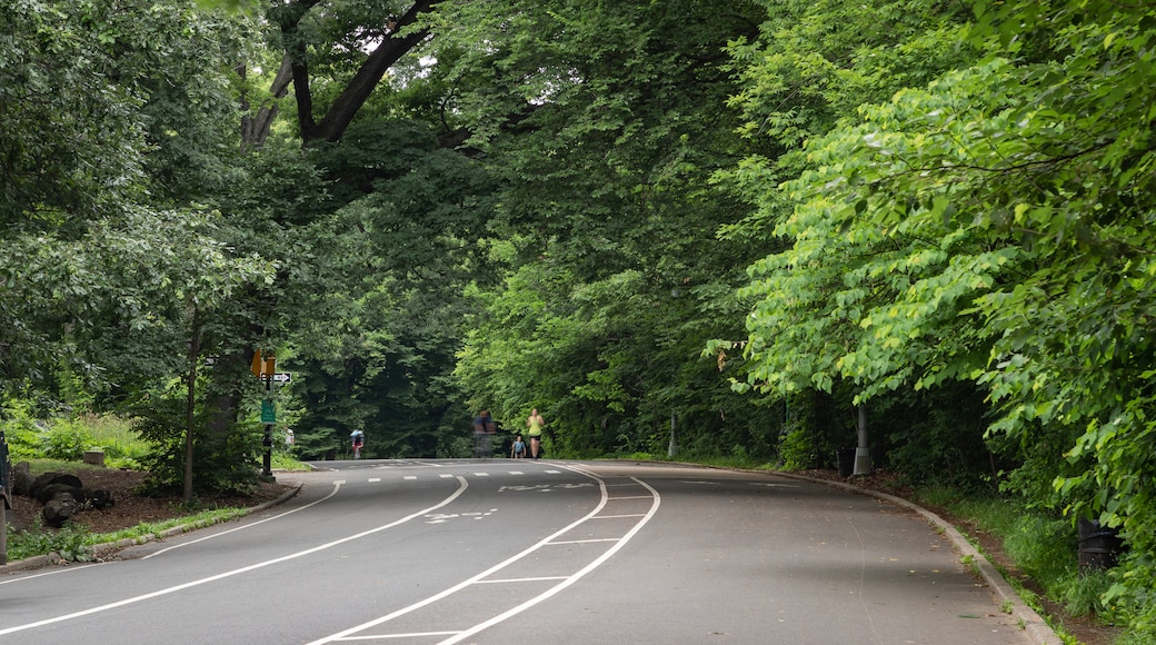 Prospect Park Bandshell featuring a garden