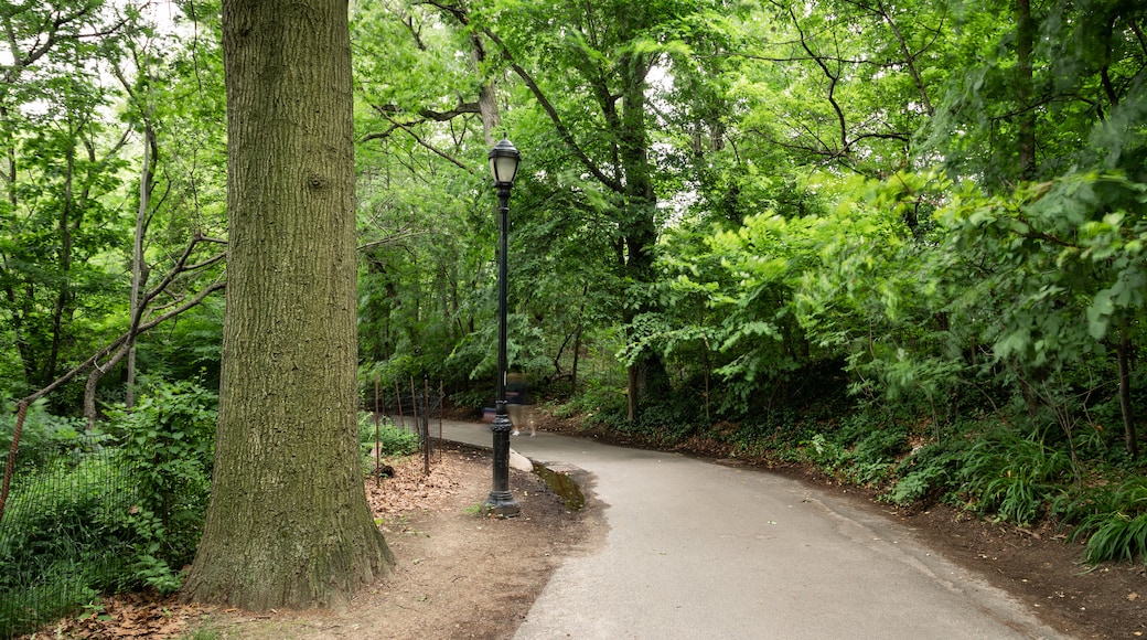 Prospect Park Bandshell featuring a park