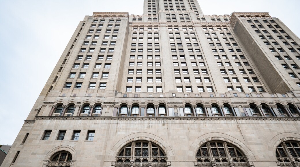 Williamsburgh Savings Bank Tower featuring a city