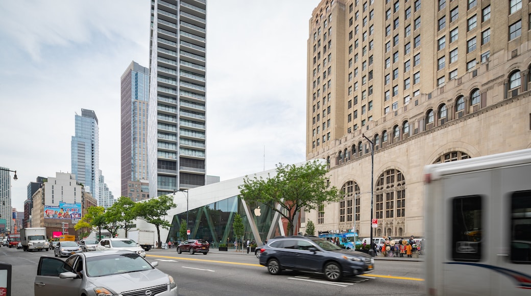 Williamsburgh Savings Bank Tower featuring a high rise building, a city and street scenes