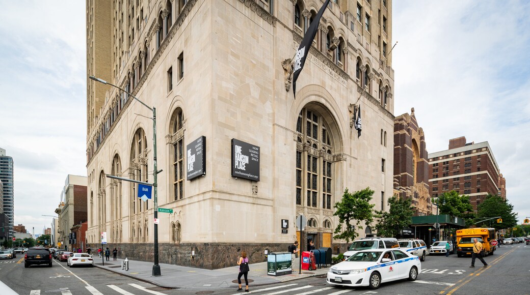 Williamsburgh Savings Bank Tower featuring street scenes and a city